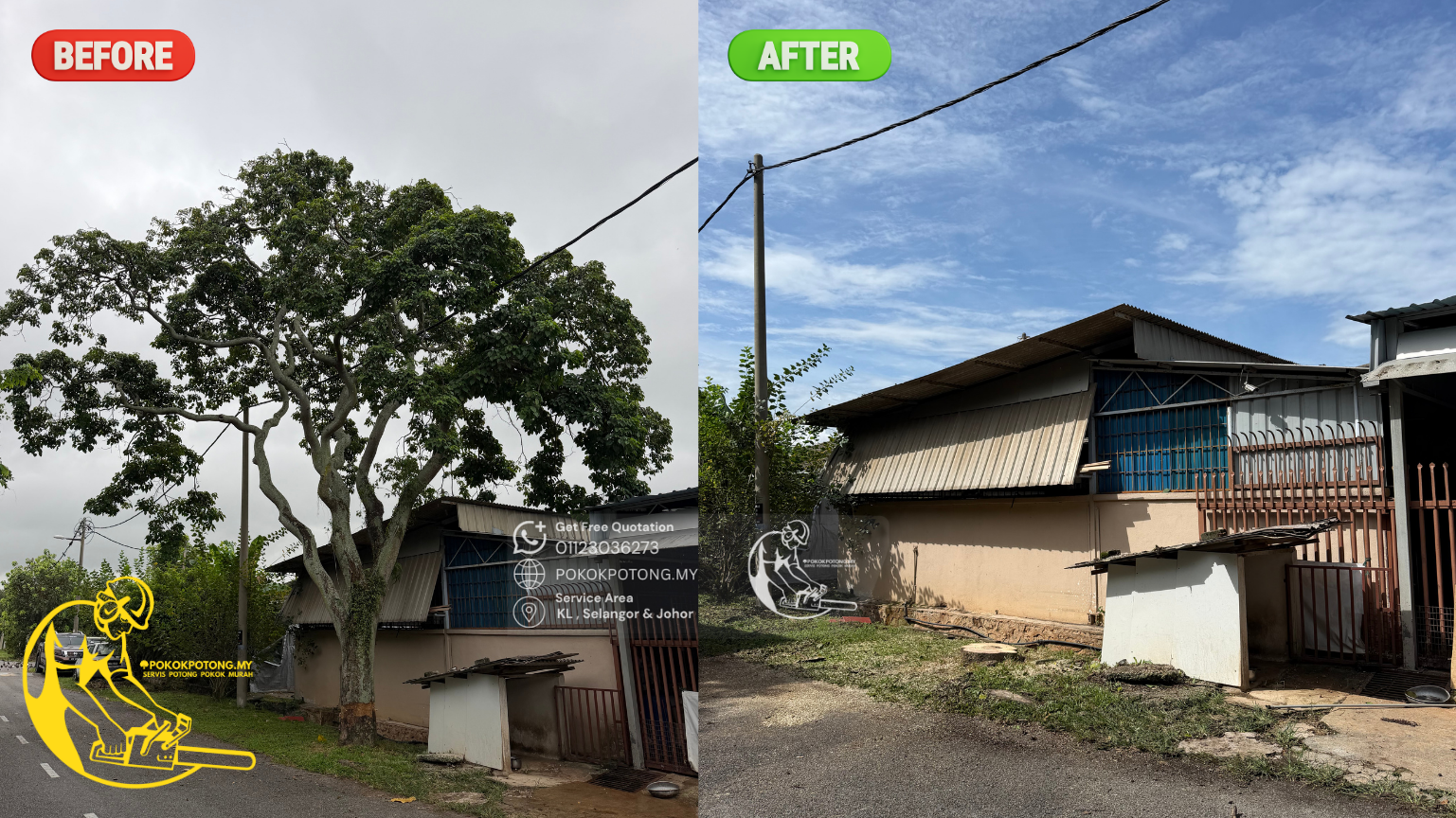 Before and after professional tree cutting service by Servis Potong Pokok Murah in Kuala Lumpur, Selangor and Johor.