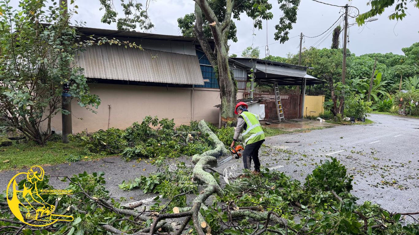 Professional tree cutting worker cutting fallen tree trunk into sections for safe removal in Kuala Lumpur, Selangor.