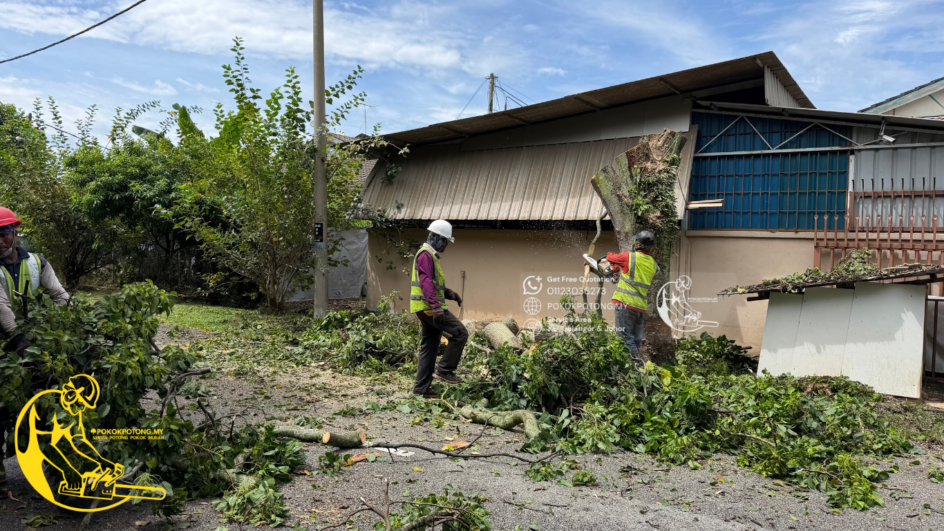 Need a safe and reliable tree cutting service? Contact Servis Potong Pokok Murah today for a FREE site inspection and quotation. We serve Kuala Lumpur, Selangor & Johor.