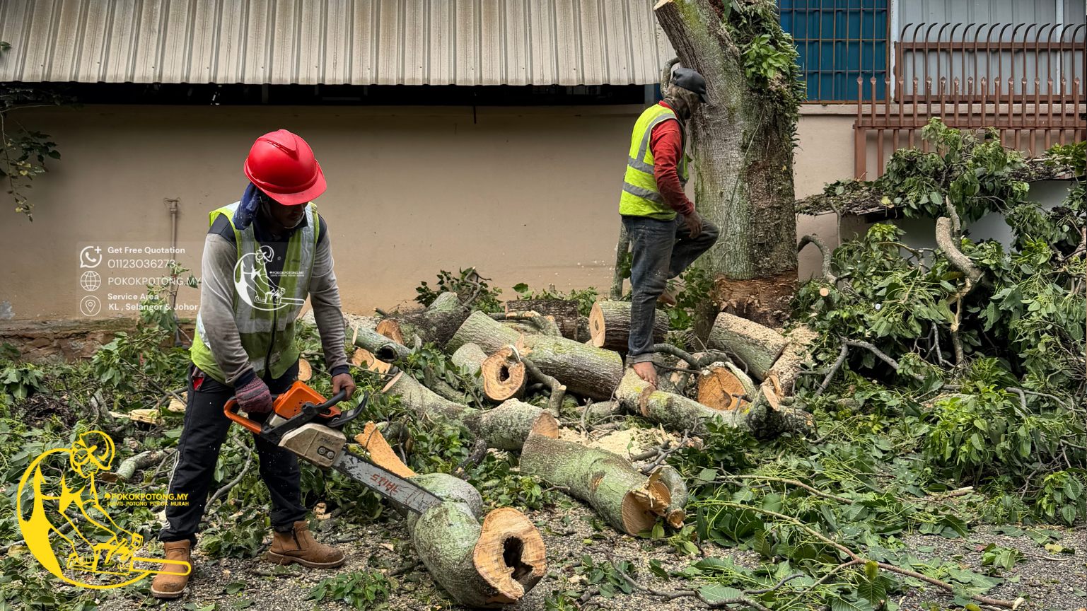 Professional tree cutting team safely cutting a large tree near a residential building in Kuala Lumpur, Malaysia.