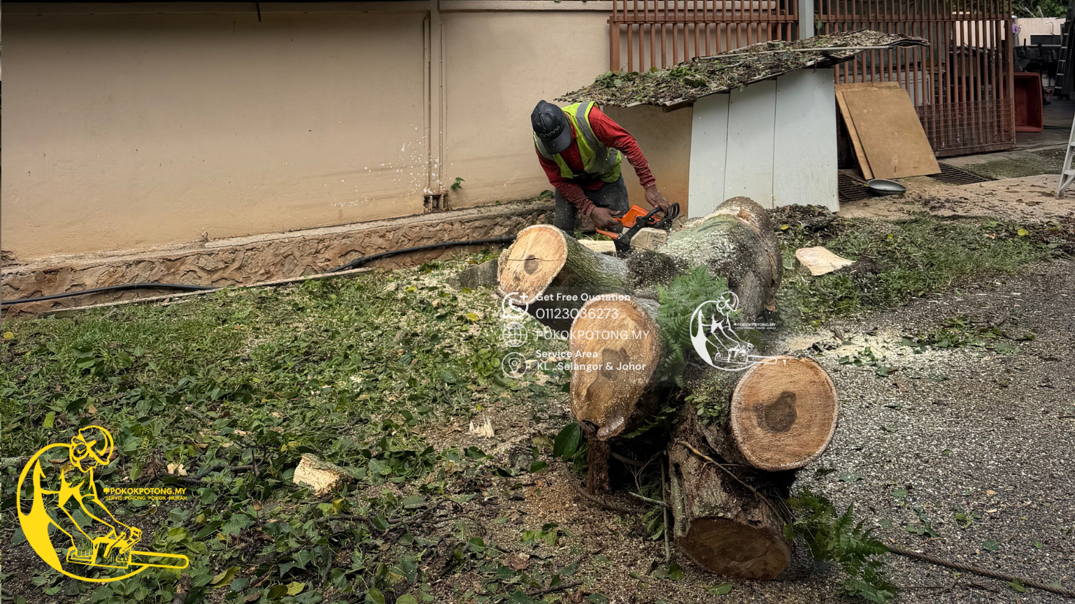 Worker cutting a large tree trunk into sections after safe tree removal in Kuala Lumpur, Malaysia.
