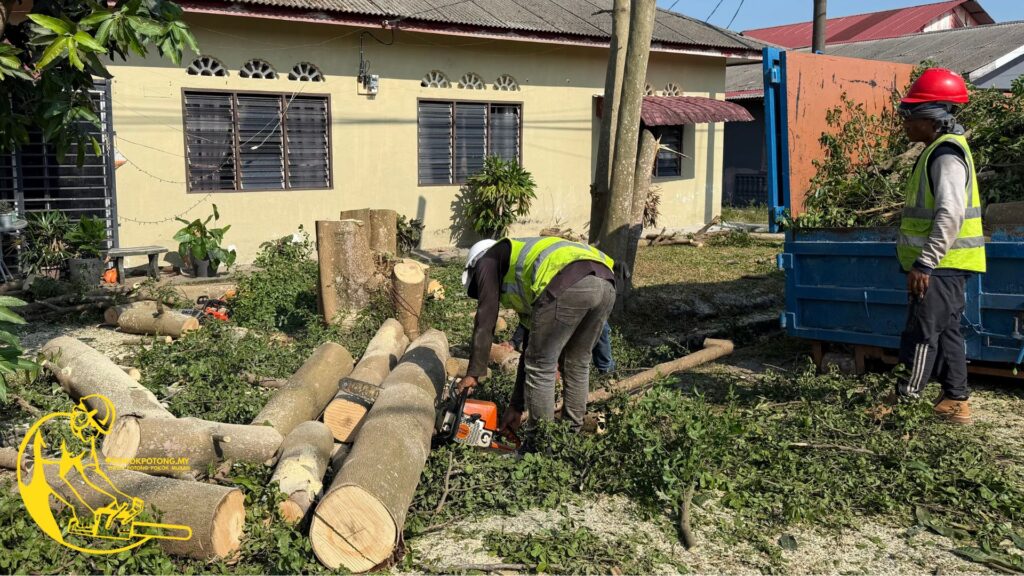 ALT TEXT: Professional tree cutting service in Kuala Lumpur and Selangor